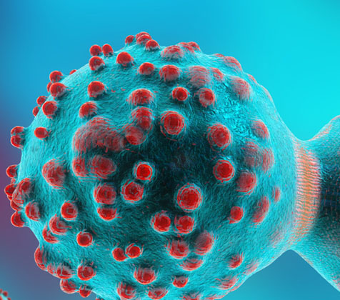 Gjenetika e Kancerit