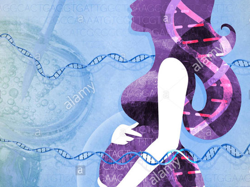 Gjenetika e Infertilitetit