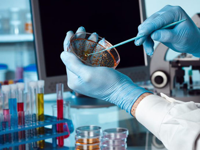 Ruajtja e Qelizave Staminale