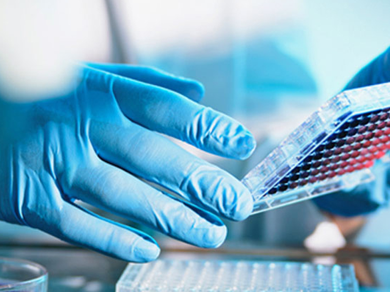 Testimi i Gjakut Ndaj Alergjisë (Makroarray)