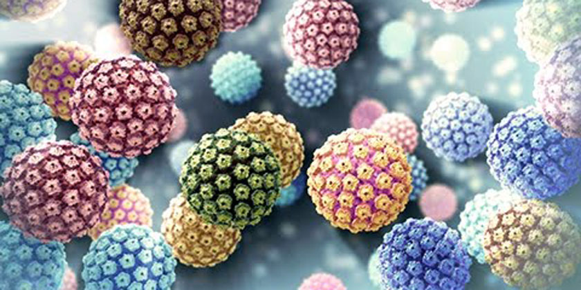 Human Popilloma VirÃ¼s DNA Genotipi 